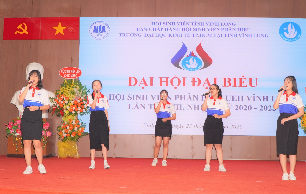 cá cược thể thao hul city